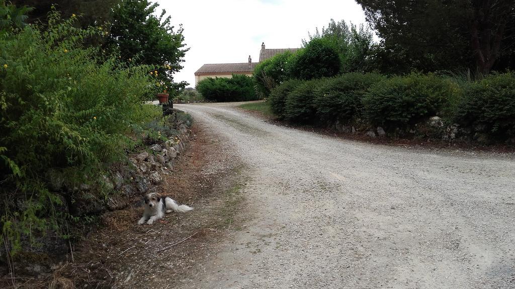 Maison d'Hôtes Afrika du Queyroux Ginestet Exterior foto